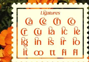 Cranio - Modern Sans Serif Display Font