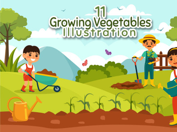 11 Growing Vegetables Illustration preview picture
