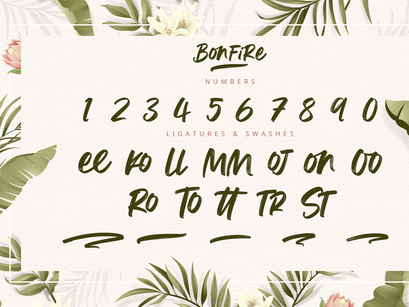 Bonfire - Modern Brush Font