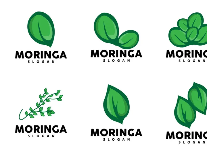 Leaf Logo, Eco Green Plant Vector, Green Earth