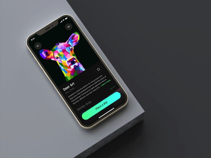 NFT Arts Collection app UI/UX Design