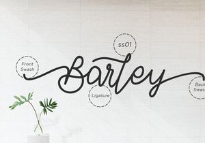 Barley - Monoline Calligraphy