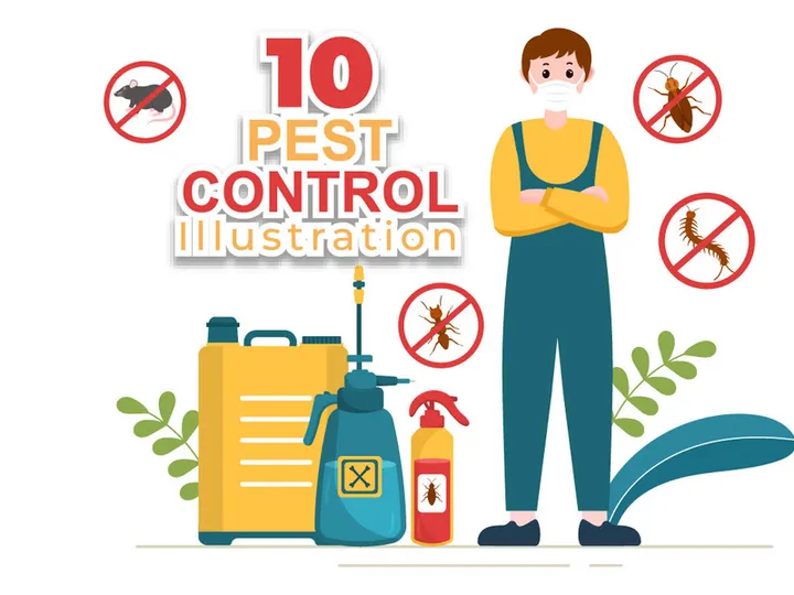 10 Pest Control Service Illustration
