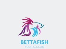 Betta fish modern logo style design vector image illustration