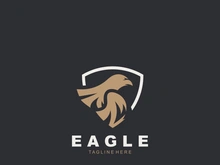 Eagle Bird Logo, Falcon Flying Soaring Geometric Logotype concept symbol design