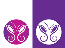 Butterfly logo icon vector design illustration