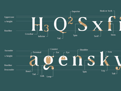 Collager - Modern Serif Family Font