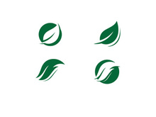 green leaf logo ecology nature vector icon