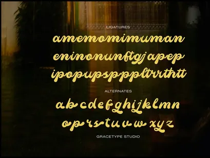 Mainer Wisdom | Retro Bold Script