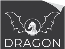 Dragon logo art illustration