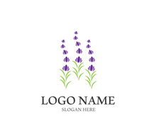 Lavender flower vector icon illustration design template