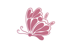 Butterfly, SVG Vector Illustration