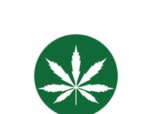 Canabis leaf logo and symbol vector