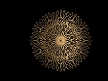 Mandala Flower Art Logo Background Design