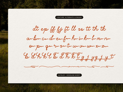 Guteloy | Monoline Script