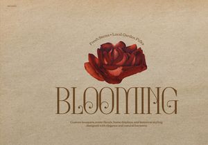 Aksaro | Display Serif Typeface