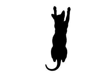 Silhouette of a cat jumping up with front paws raised high preview picture