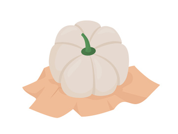 White pumpkin semi flat color vector object preview picture