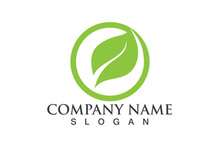 Green leaf logo Vector
