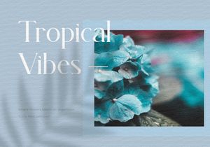 Magnita - Serif Font