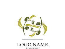 olive icon vector illustration design template