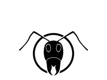 ant head logo