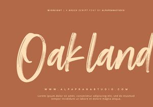Midnight - Brush Script Font