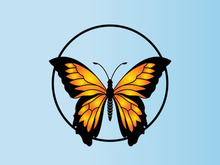 Butterfly logo design