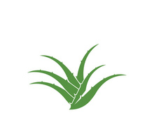 Aloe Vera logo icon design symbol beauty skin care