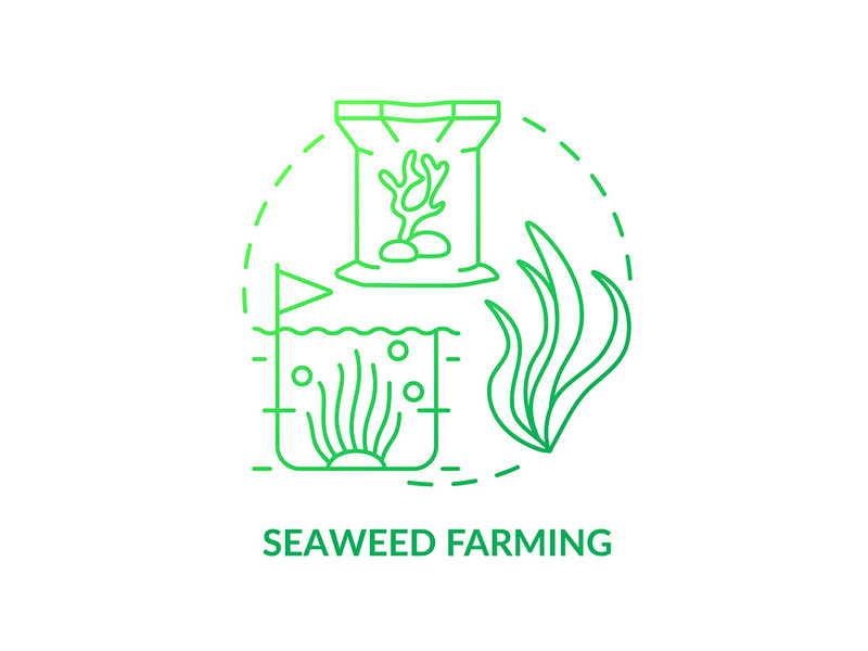Seaweed farming green gradient concept icon
