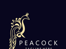Peacock logo line art elegant concept icon design template flat vector illustration