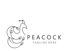 Peacock logo line art elegant concept icon design template flat vector illustration