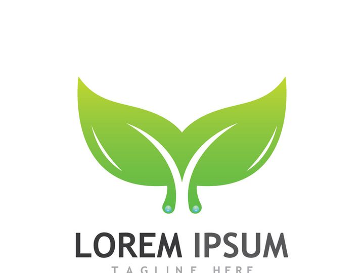 Natural green leaf logo design.