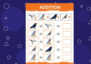 Addition with different birds for kids. An educational worksheet for kids. Vector design