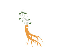 Ginseng logo design template and symbol icon vector illustration