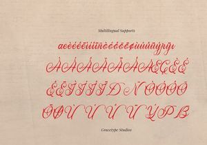 Howtaly | Elegant Vintage Script