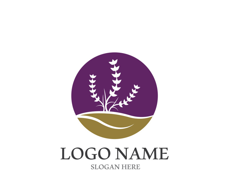 Fresh lavender flower logo vector flat design