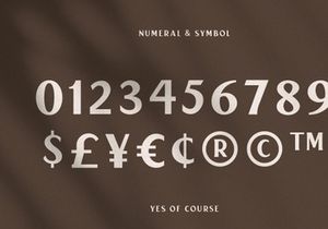 Garacie Vintage Modern Typeface