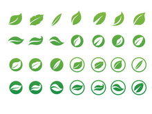 green leaf ecology nature element vector icon