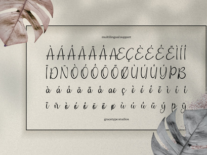 Cafricot Lissendra | Script Handwritten