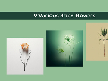Various dried flowers preview picture