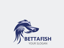 Betta fish modern logo style design vector image illustration
