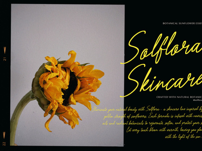 Barrow Waylow | Handwritten Script