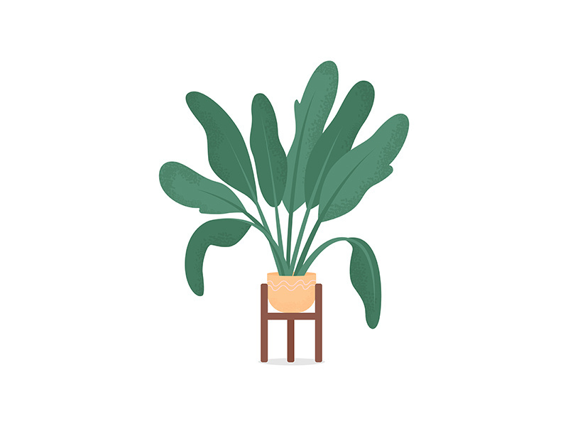 Home plant flat color vector object