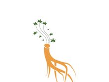 Ginseng logo design template and symbol icon vector illustration