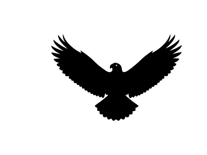 Black silhouette of an eagle in flight with wings spread wide