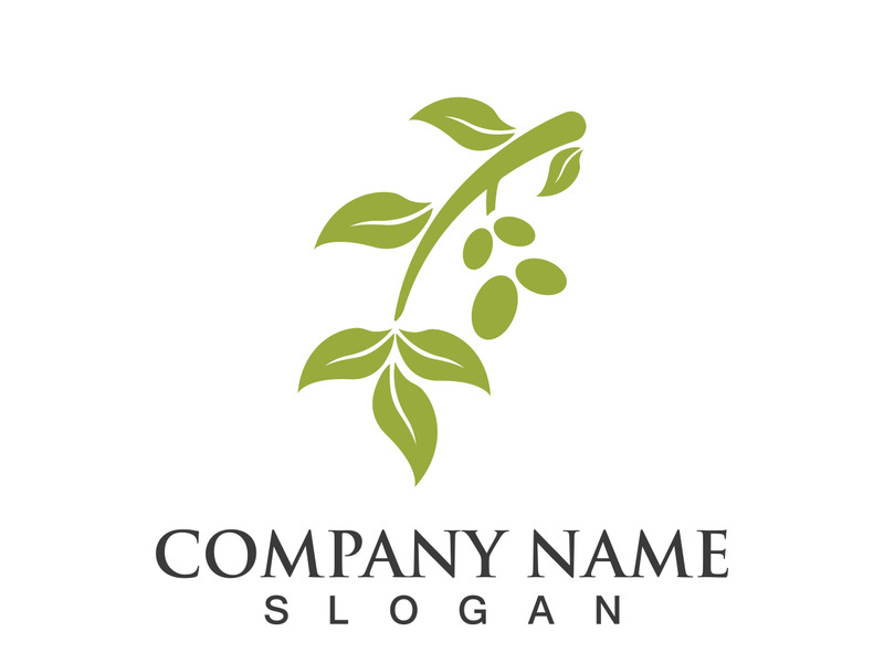 Extra virgin olive oil logo icon design vector illustration