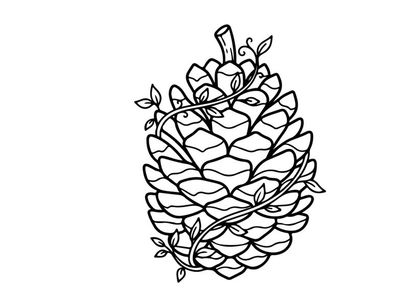 Ilustração de pinha desenhada à mão para projetos de natureza e artesanato. Esboço botânico artístico para uso em design e educação.