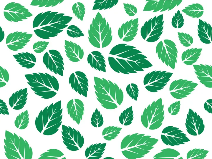Mint Leaf icon template  illustration