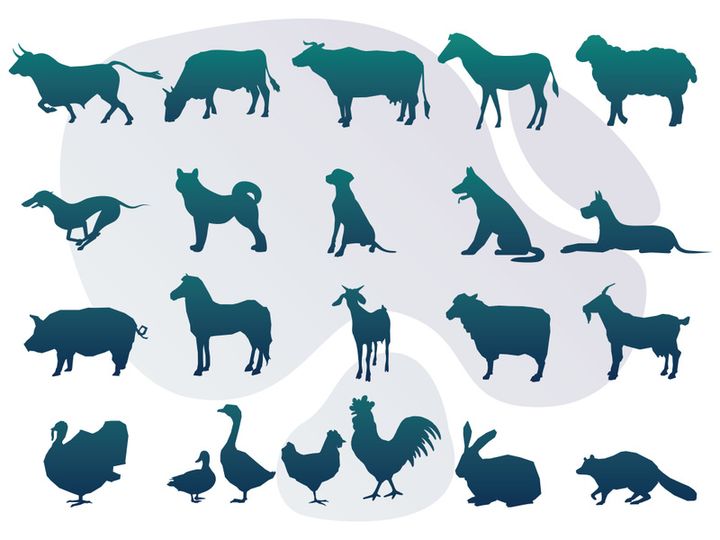 Animals : Silhouette Collection With Logo